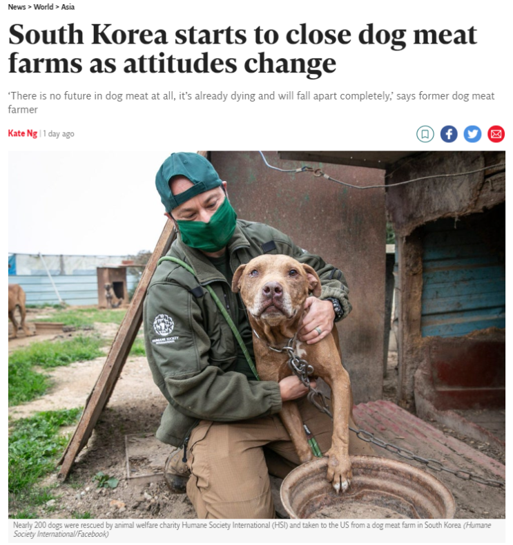  해외 영문기사 | 한국 개농장 폐쇄 .. 개고기 거래를 법률적으로 금지한다고 ? 개농장 돈이 안되서 다 망하는 판에 없어지는 산업 관련 법 만들기보다는 급한 일부터 하겠다..