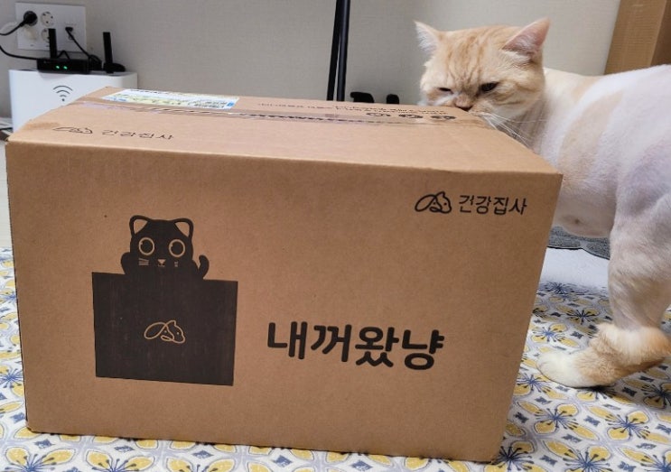  강 집사  고양이 화장실 멀티박스+모래 삽 ::