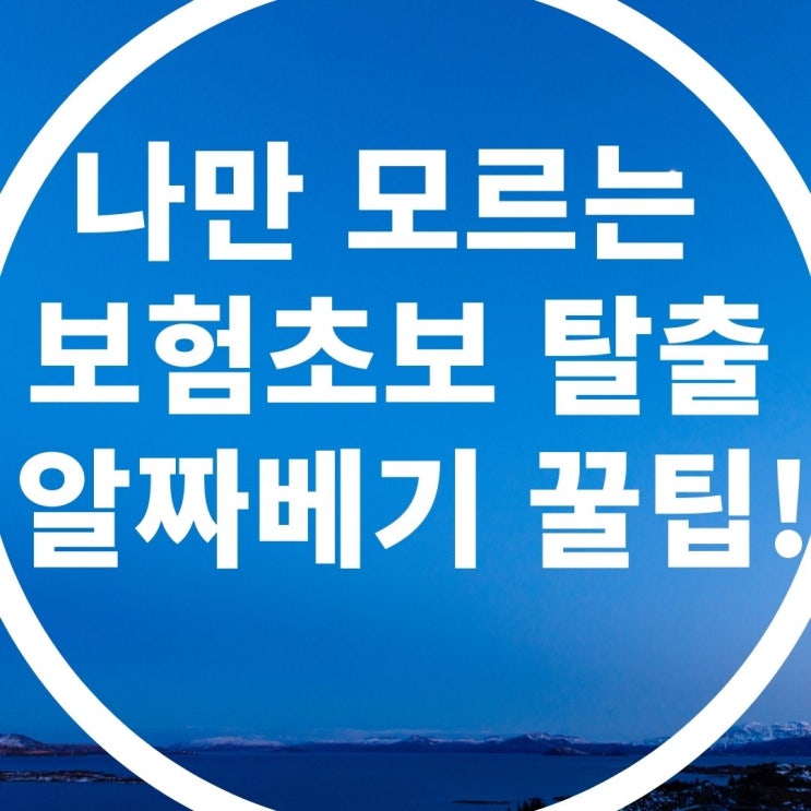 나만 모르는 보험초보 탈출을 위한 알짜배기 꿀팁!!