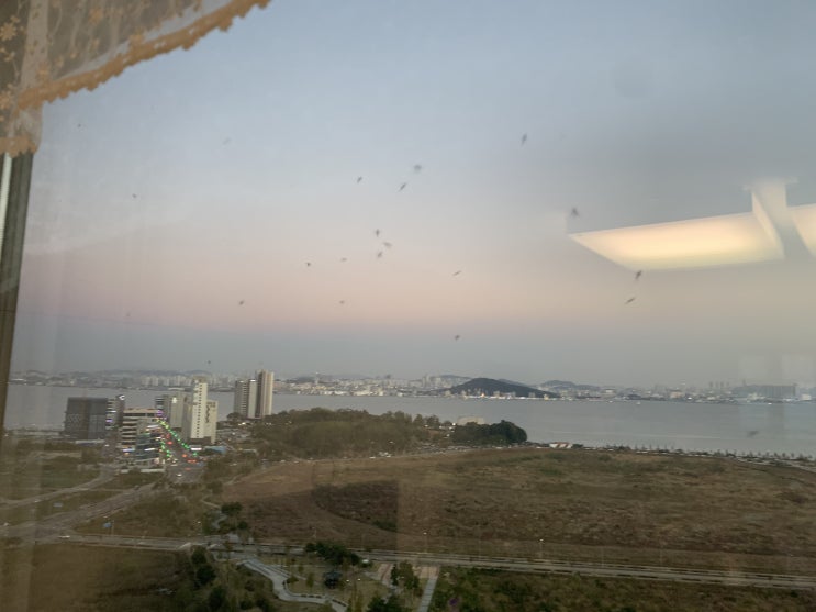 모기, 아파트 고층도 안심할 수 없다 모기, 아파트 고층도 안심할 수 없다