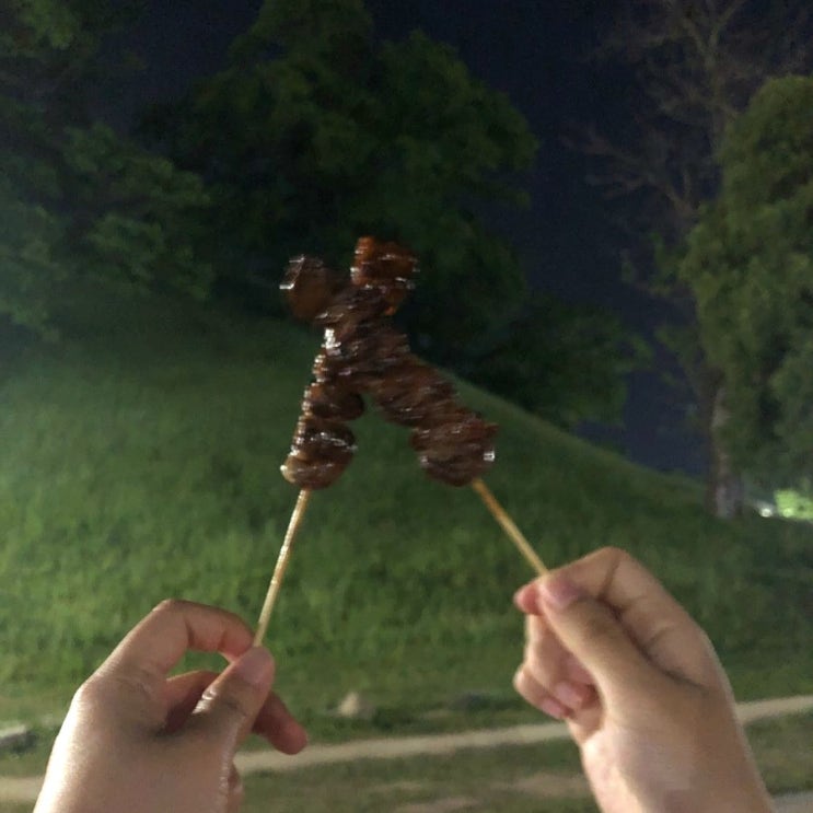  [지난 여행 일기] "내일로 기차 여행"_경주에서의 Day 1/황룡사역사문화관, 청보리밭, 대릉원, 첨성대, 시즈닝, 월정교