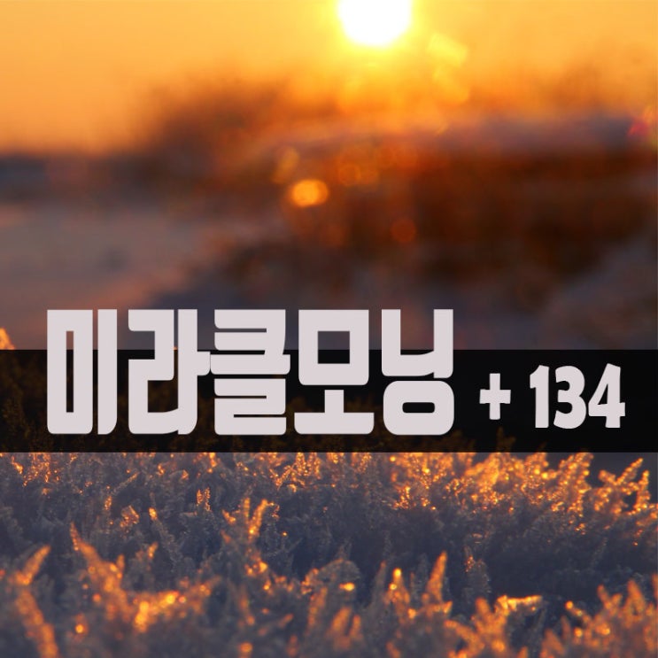  인디고 자문자답 100문 100답 다이어리 꼭 써보세요