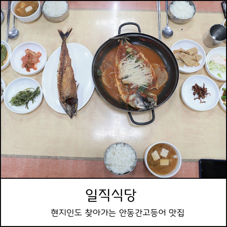  현지인도 찾아가는 안동 간고등어 맛집 일직식당에서 구이와 조림 맛보다