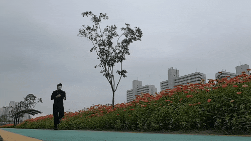  초보러너 여브로, <JTBC서울마라톤> 완주!