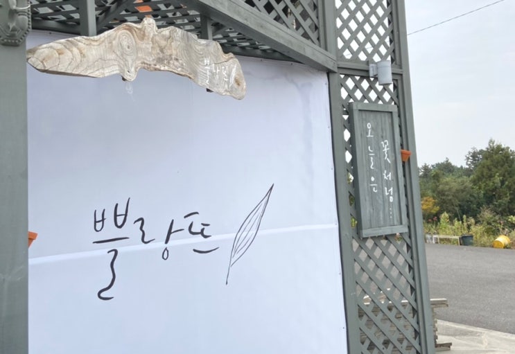  제주 도립미술관 근처 최애장소 3곳! 쁠랑뜨 제주예찬 카페901