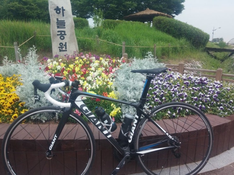  2012년식 자이언트 TCR 어드밴스1