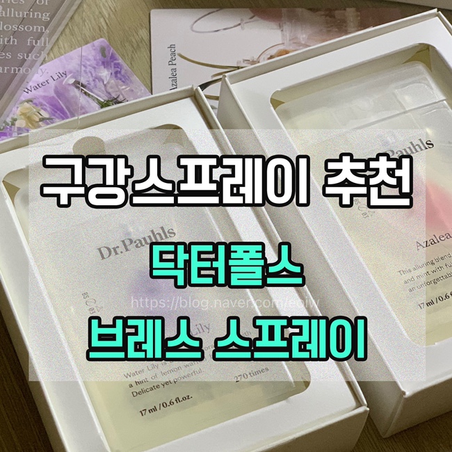  [구강스프레이 추천] 닥터폴스 브레스 스프레이