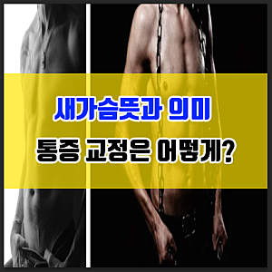 남자 여자 새가슴 뜻 의미 통증 교정은?