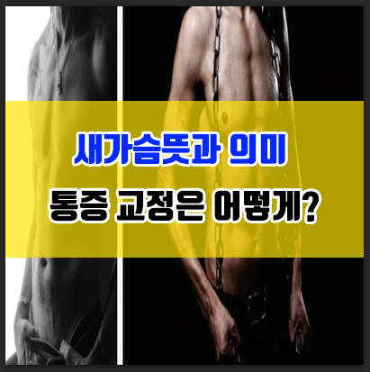 남자 여자 새가슴 뜻 의미 통증 교정은?