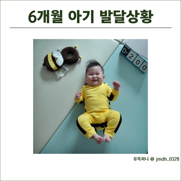  6개월 아기 발달상황 (몸무게, 분유양, 이유식양, 수면시간, 간식)
