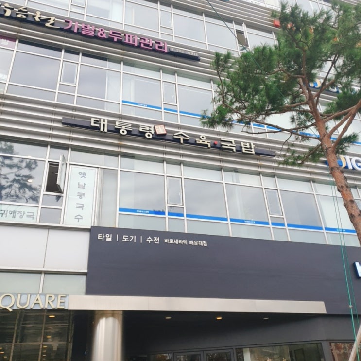  벡스코근처맛집 대통령수육 돼지국밥