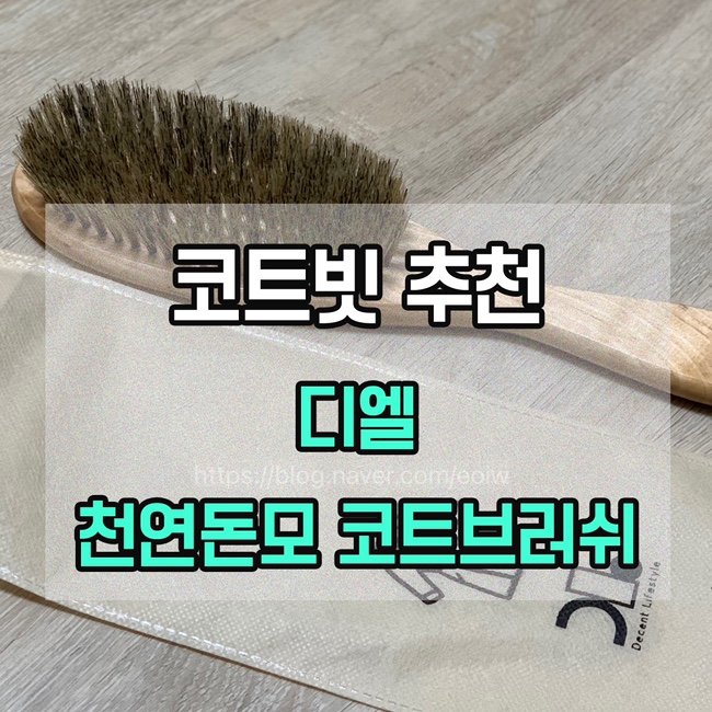  [코트빗 추천] 디엘 천연돈모 코트브러쉬
