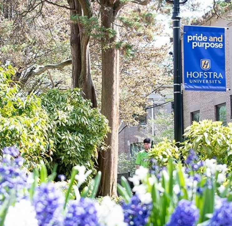  미국 명문 대학교 호프스트라 대학(Hofstra University) 장학금?