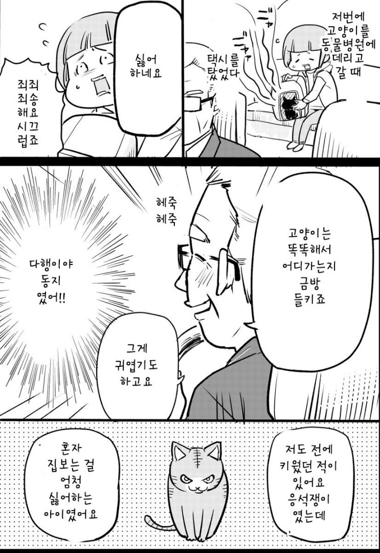  택시기사님과 고양이 이야기