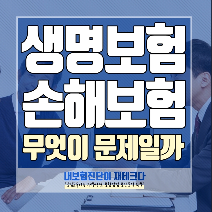 보험컨설팅 받는 이유 생명보험 보장의 문제점 손해보험 과 차이점