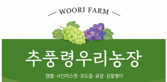 샤인머스켓, 추풍령우리농장 샤인머스켓, 추풍령우리농장