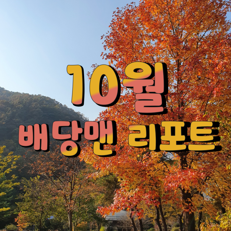  배당맨리포트 10월 결산 (미국주식,저작권,블로그)