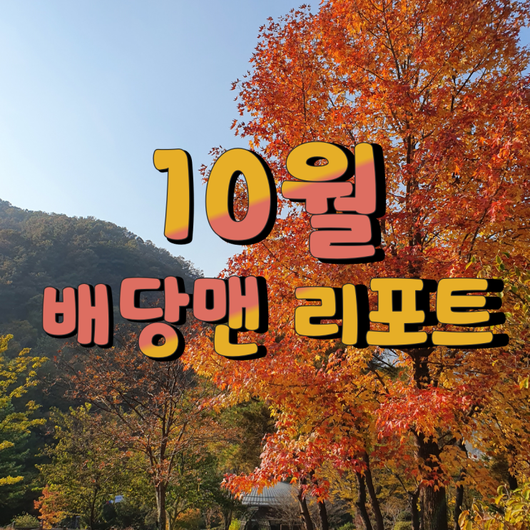 배당맨리포트 10월 결산 (미국주식,저작권,블로그)