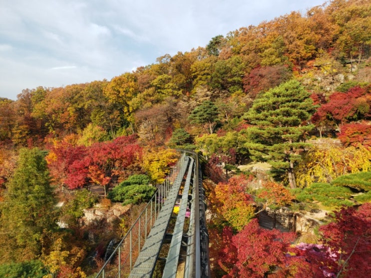  [곤지암여행] 곤지암 화담숲 예약, 모노레일 타고 구경한 후 천천히 산책