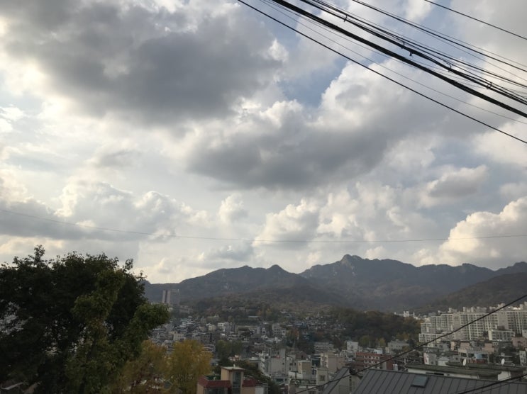  서울산책, 비 오기 전 다녀온 단풍구경