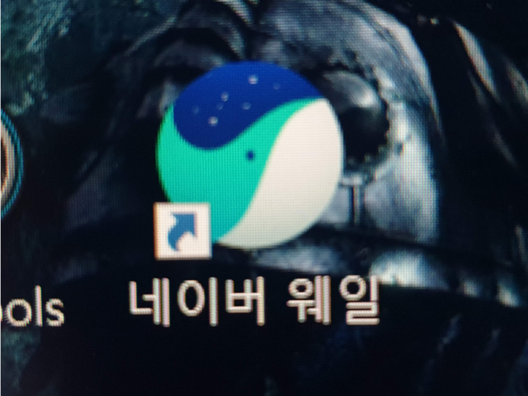  네이버 웨일 브라우저 다운로드 및 설치하기