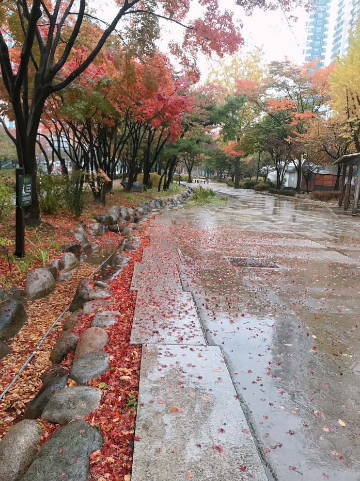  가을비에 생각난 엄마와의 추억