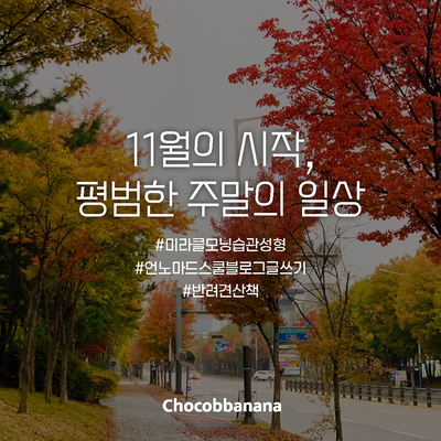  11월의 시작, 평범한 주말의 일상
