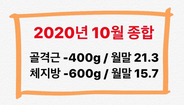 10/22-10/31 순식간에 지나간 10월마무리