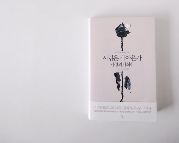  나는 그래도 그를 사랑한다 - 사랑은 왜 아픈가 책 리뷰 3