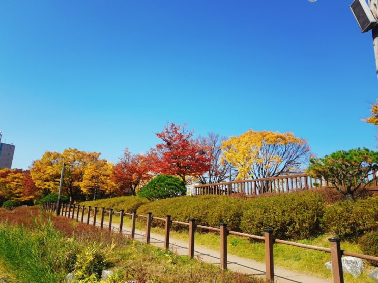  가을만끽