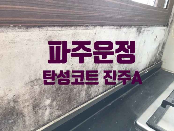  파주운정 와동동 탄성코트 가람마을 동문굿모닝힐 진주A 바이오세라믹