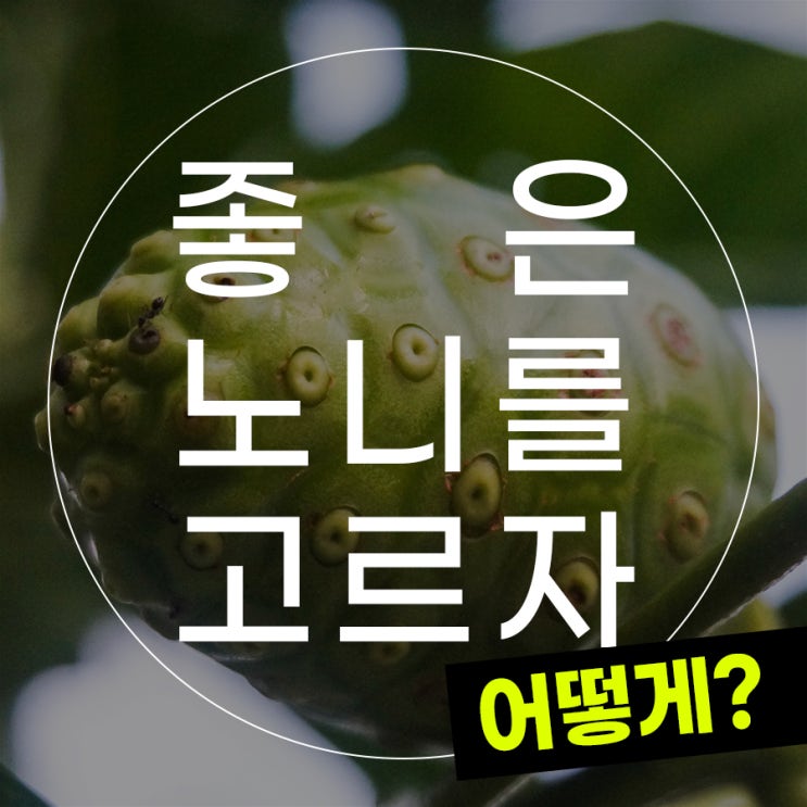  중금속/유해성분 없는 노니 제품 고르는 방법, 한방정리!