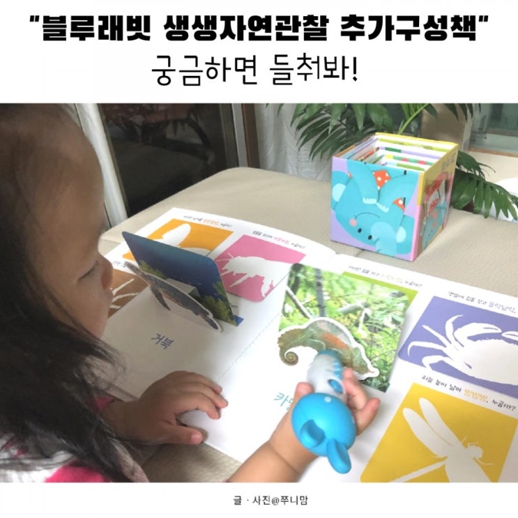  블루래빗 자연관찰 추가구성 플랩북도 토끼펜이 적용된다니~ @궁금하면 들춰봐!
