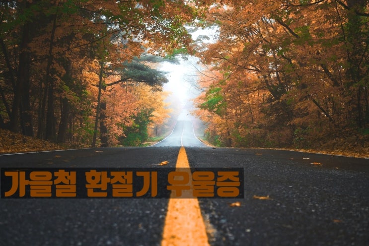  가을철 환절기 우울증, 자꾸만 무기력하고 우울해지는 이유