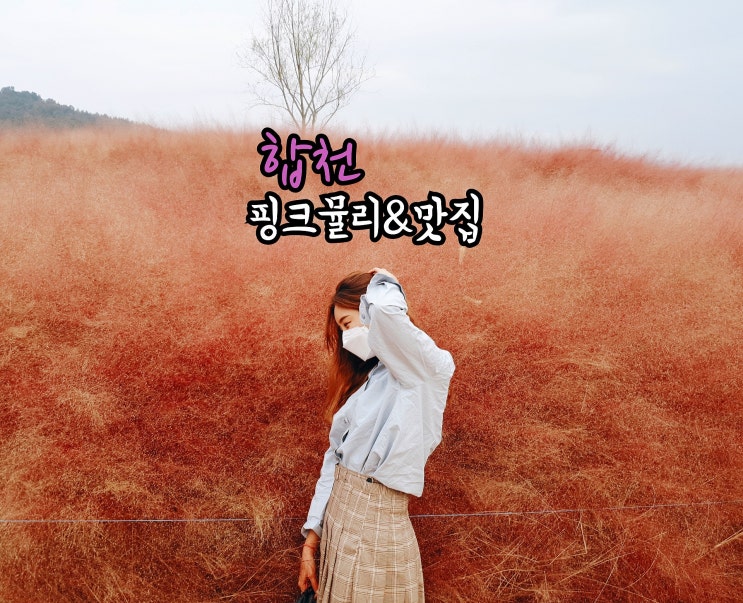  [합천]핑크뮬리&합천호관광농원(오곡밥정식)