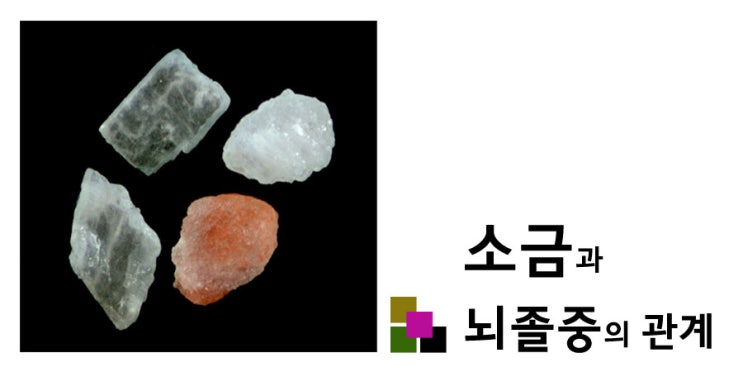  소금과 뇌졸중의 관계