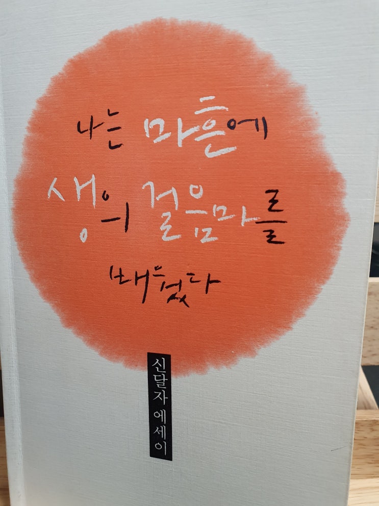  나는 마흔에 생의 걸음마를 배웠다
