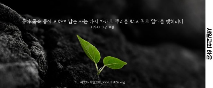 새일교회 | 하나님을 위하여 열매를 맺자