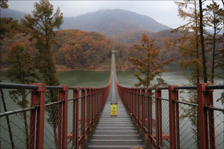  파주가볼만한곳 마장호수의 출렁다리를 가을비 맞으며 멋지게 건넜다옹
