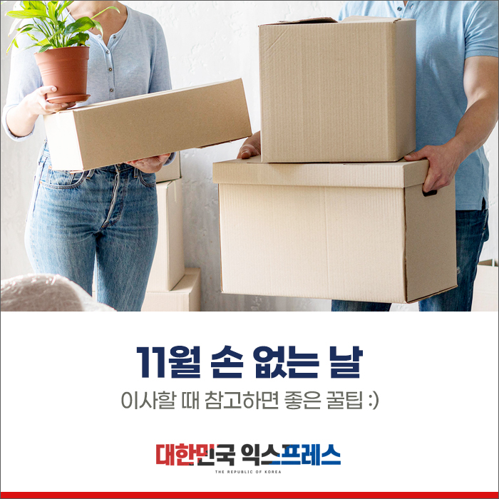 11월 손 없는 날