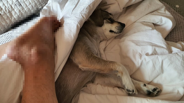  아빠는 강단풍의 사랑을 먹고 살지요.