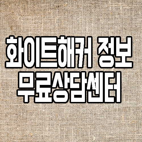 화이트해커되는법 : 자격증/국비지원/취업 정보 무료 상담 받는법