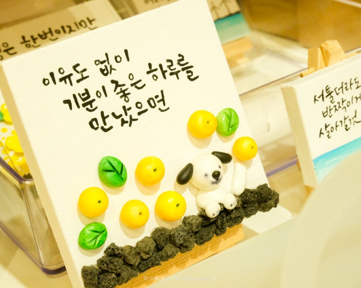 제주 가볼만한곳 서귀포 올레시장 한바퀴 제주 가볼만한곳 서귀포 올레시장 한바퀴