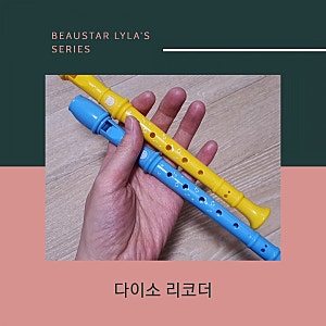 아기 장난감으로 사본 다이소 리코더