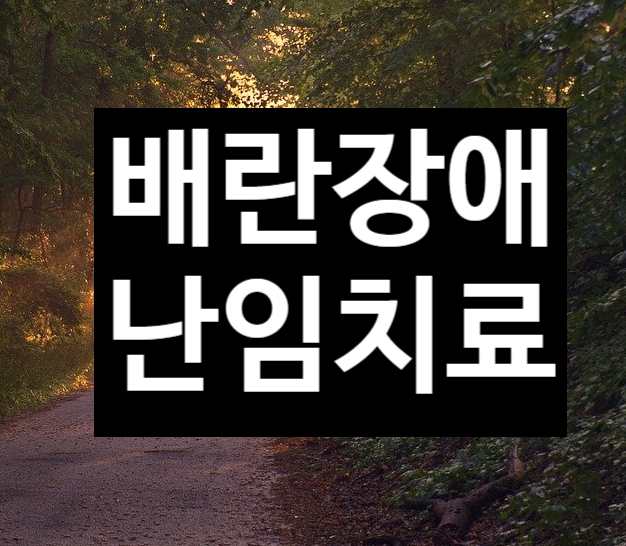  배란장애로 인한 난임 치료