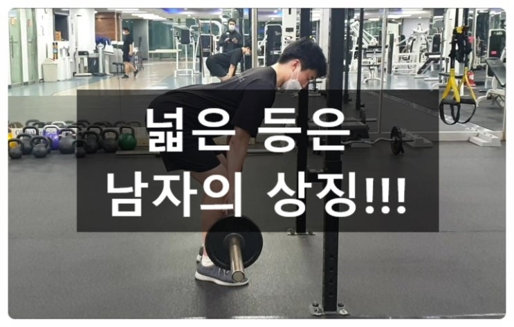  운동 초보자들의 넓은 등을 위한 등운동 루틴 (수원헬스장)