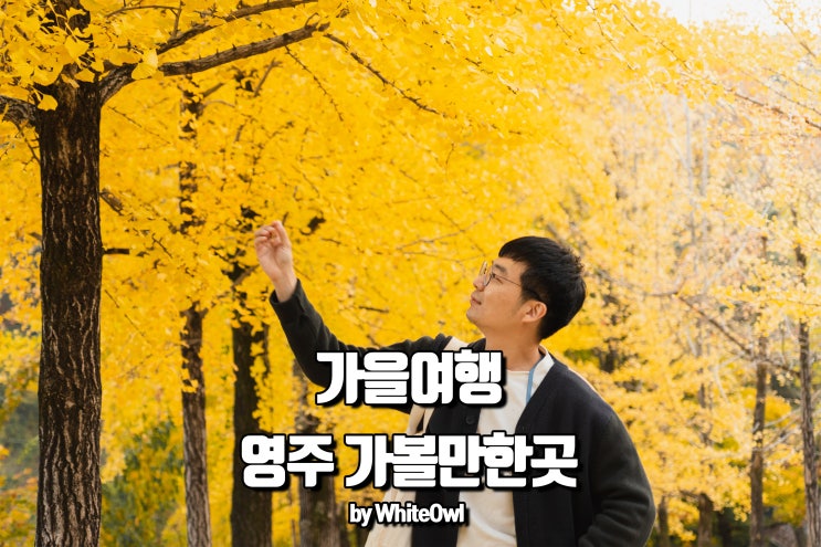  경북 영주 가볼만한곳, 단풍명소따라 다녀온 가을 여행 (부석사 서천둔치 삼판서고택)