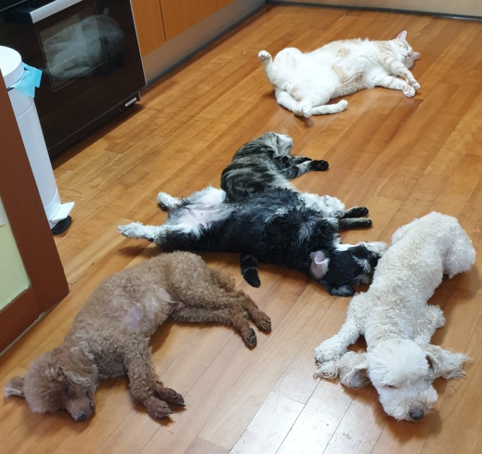  자리 쟁탈전(부제: 따뜻한 바닥이 좋아)