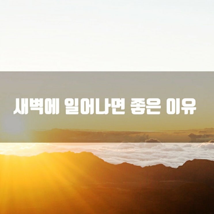  새벽에 일어나면 좋은 이유 3가지