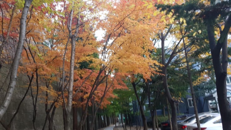  다시 걸어요! 2020112
